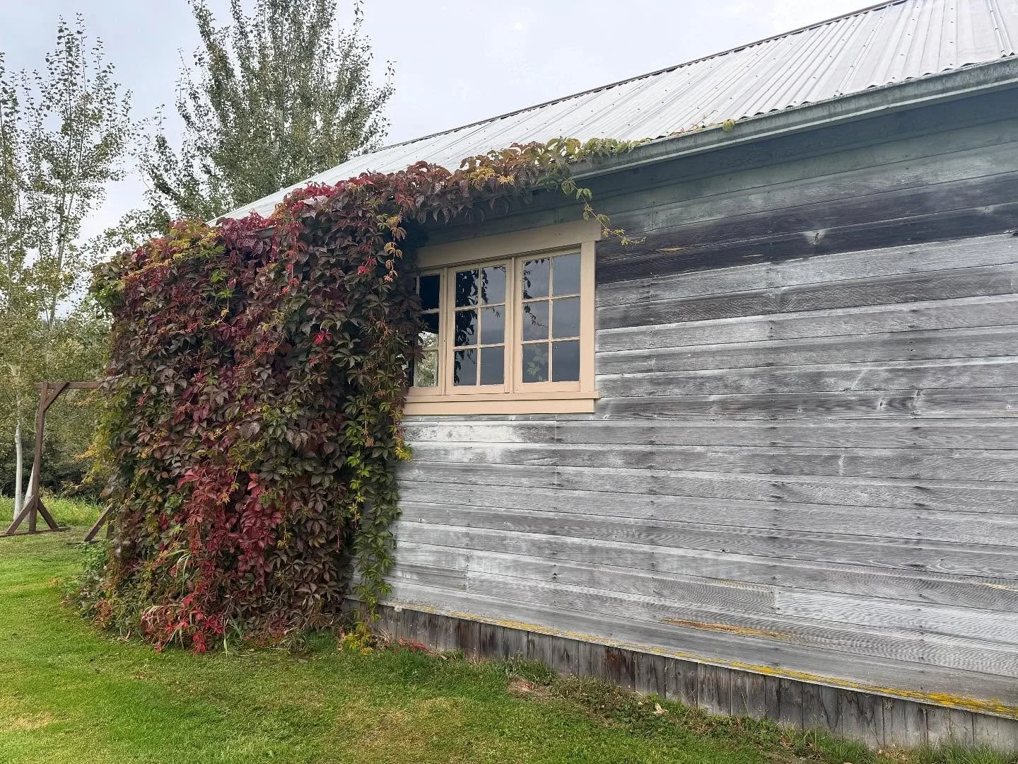 That&rsquo;s a wrap on another season of amazing events at The Saltbox Barn on Fir Island! Here&rsquo;s to all of the couples, families, guests and vendors who&rsquo;s love and creativity brought this space to life in the most beautiful ways in 2025.