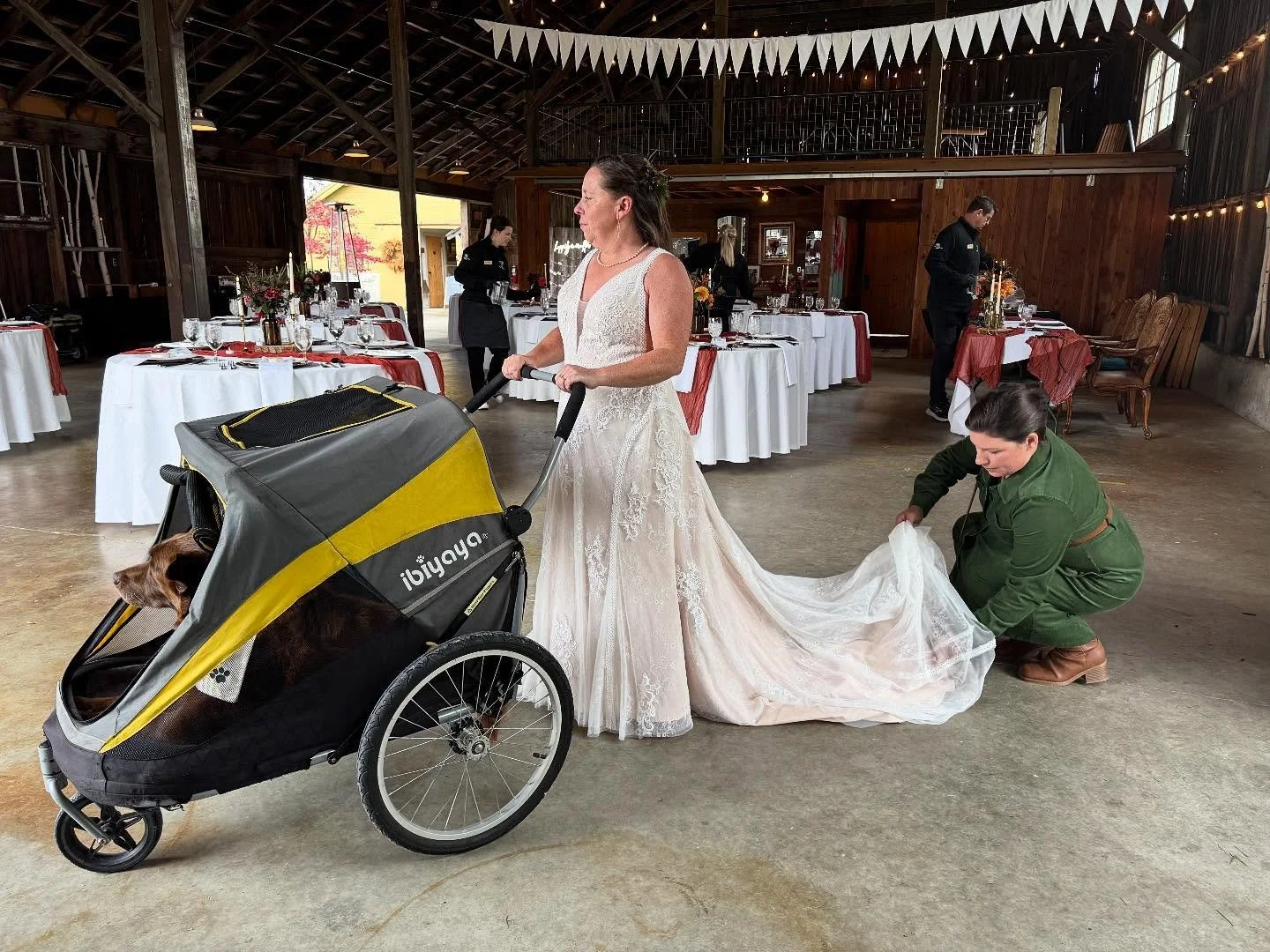 We wrapped up our season with the most amazing couple/ family/ friends/ vendors! 
1. C walks her elderly and arthritic (🥹😢) ring bearing doggy down the aisle in her special stroller. 
2. @gallowglass_celtic_band treated guests to their Celtic enter