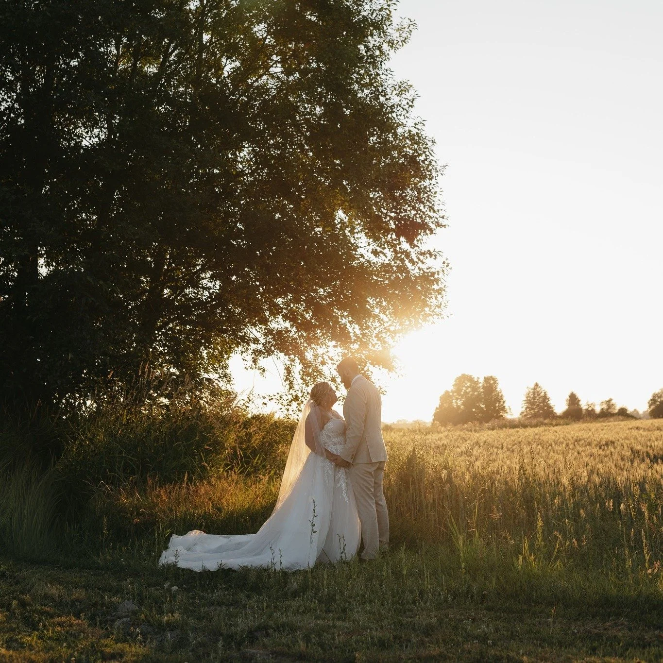 Fields that feed the valley, and since 2017, feed love stories too.

Photo: Cecily Gubitosi