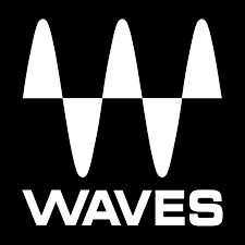 Logo with three stylized white waves and the word 'WAVES' underneath, on a black background.