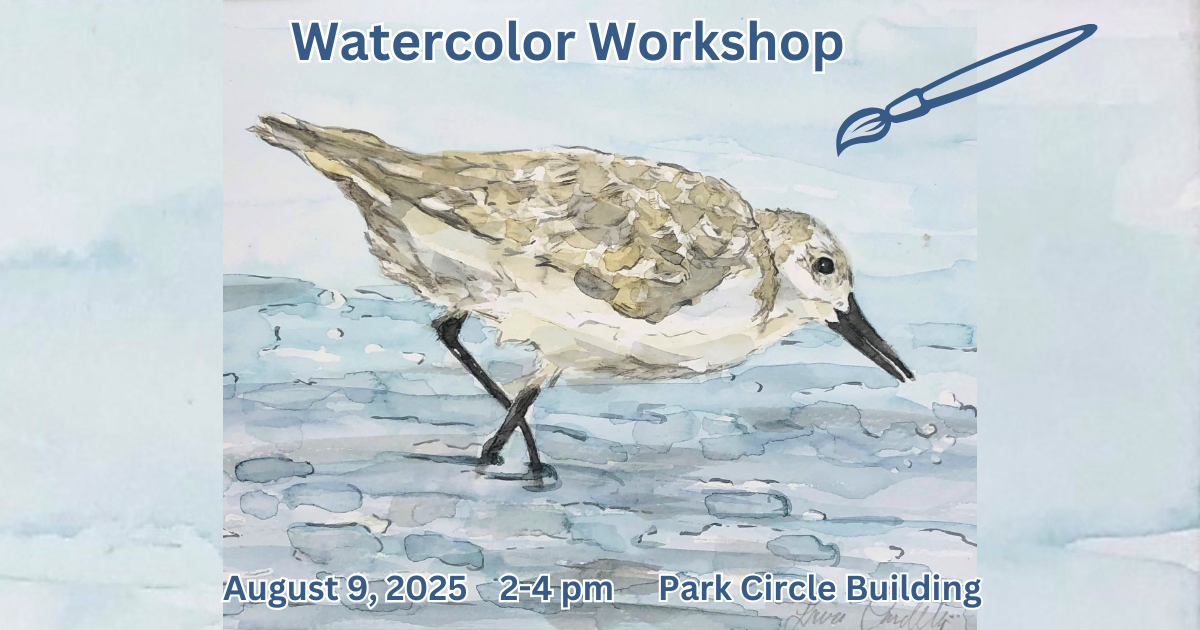 Sand Piper Watercolor Workshop