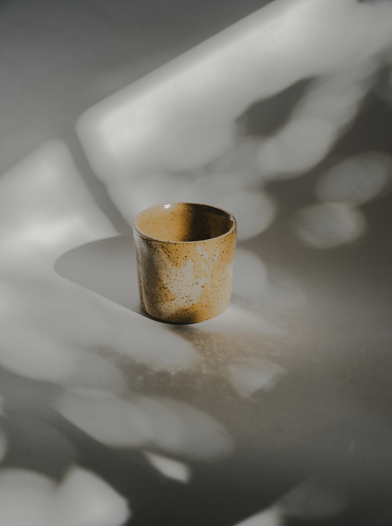 Screenshot 2026-03-02 at 2.26.39 PM.png