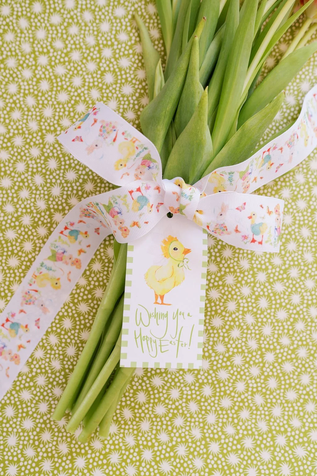Nina Rosner for Fete Papier Spring Party Animals Ribbon