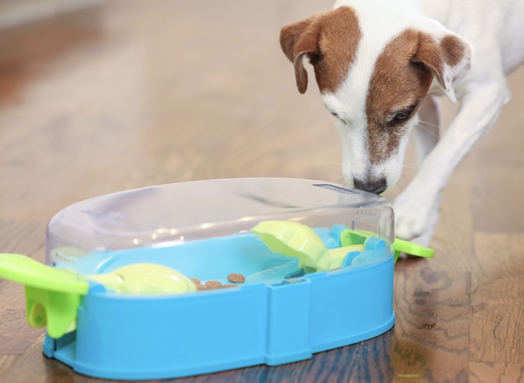 Nina Ottosson Paw N' Play Interactive Treat Puzzle Dog Toy – Level 2