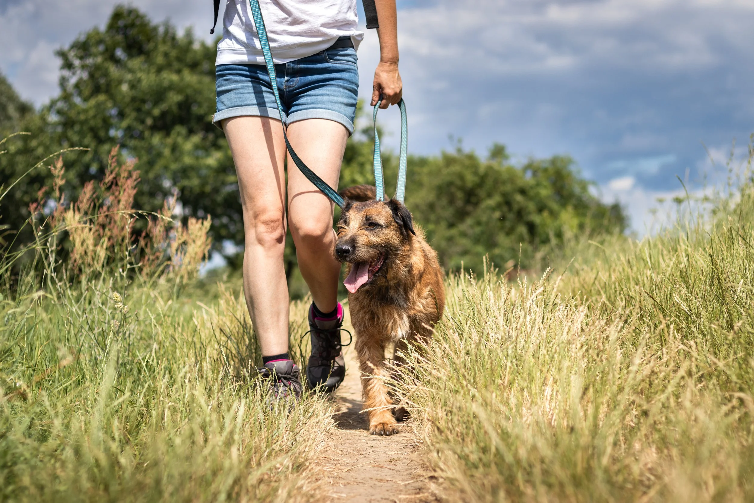 Person walking a brown and black dog on a narrow dirt trail through grassy fields under a partly cloudy sky.
