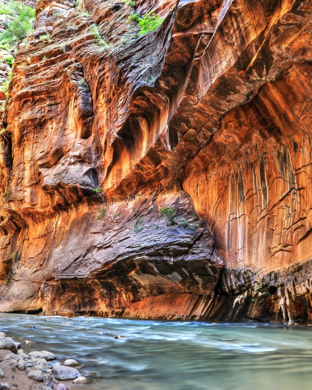 IV Therapy Near Zion National Park: Recover from Dehydration Fast