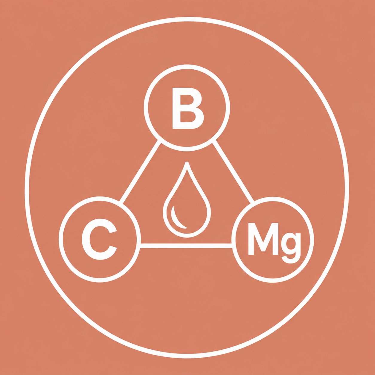 Diagram showing the roles of vitamins B, C, and magnesium in the body, with a water droplet symbol in the center connected to each element.