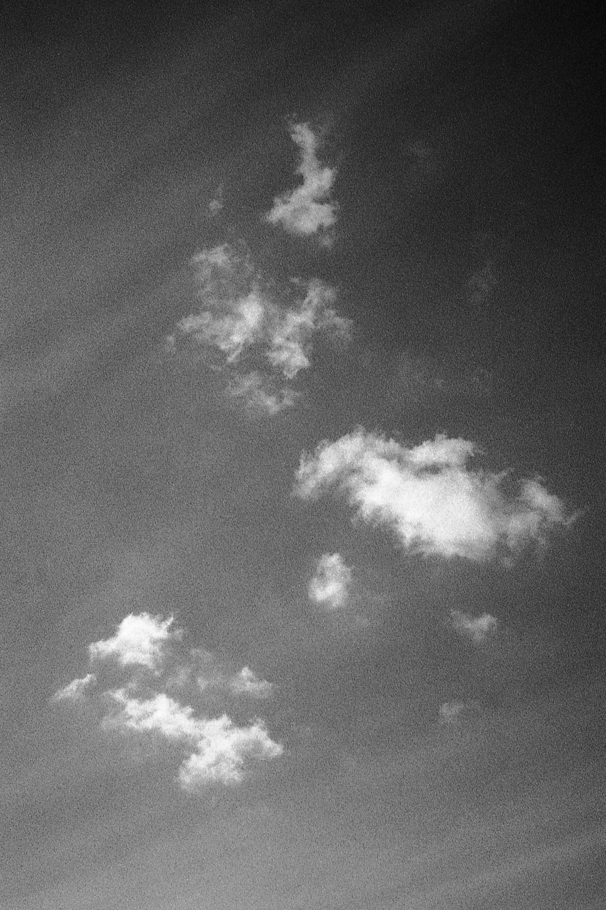 0022.jpg