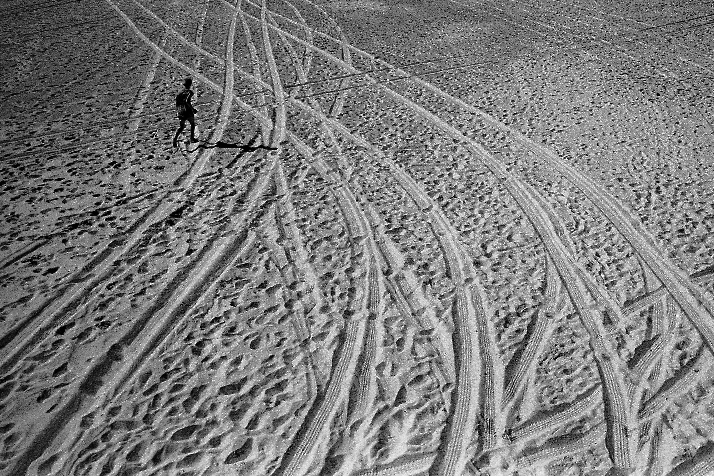 0870.jpg