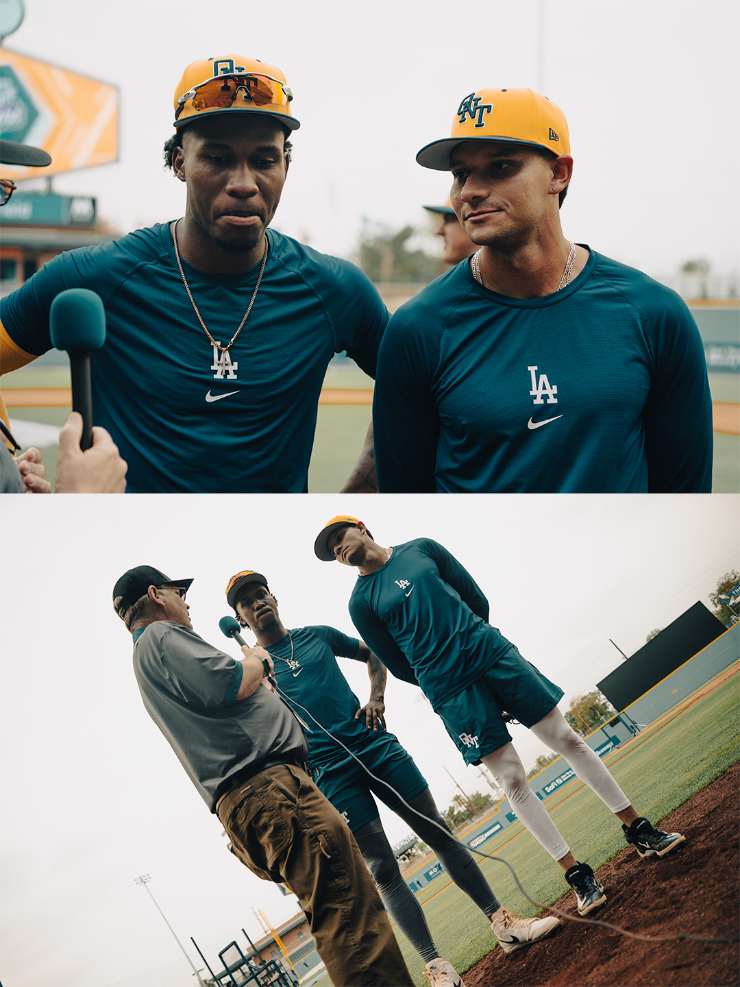 Horizontal collage.png