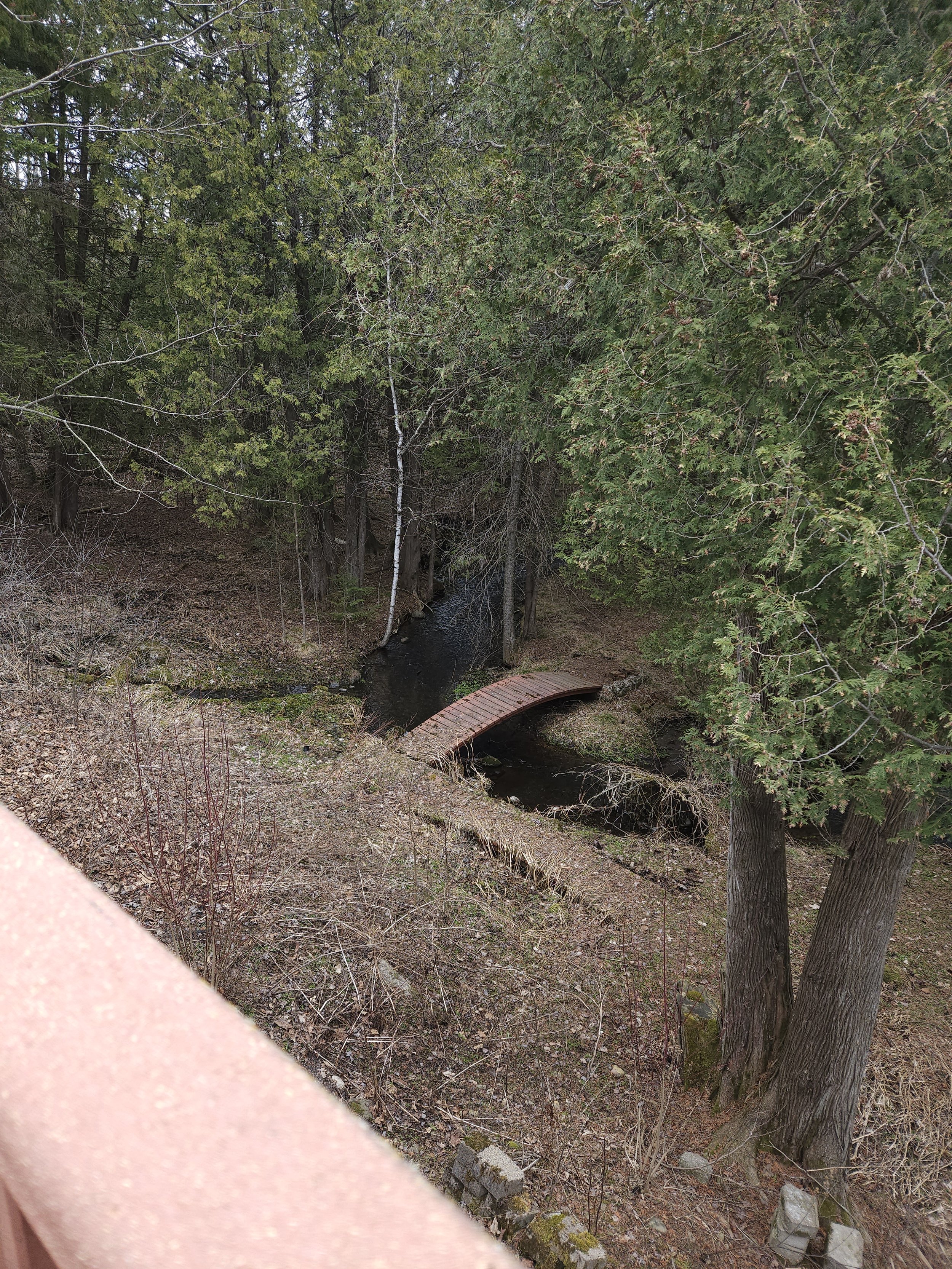 20250417_143454.jpg