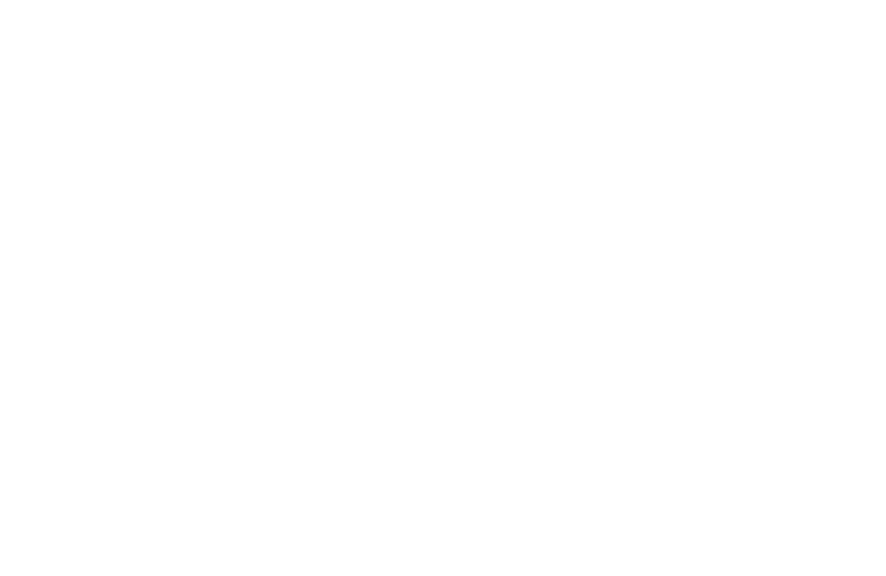 Stand4 Socks