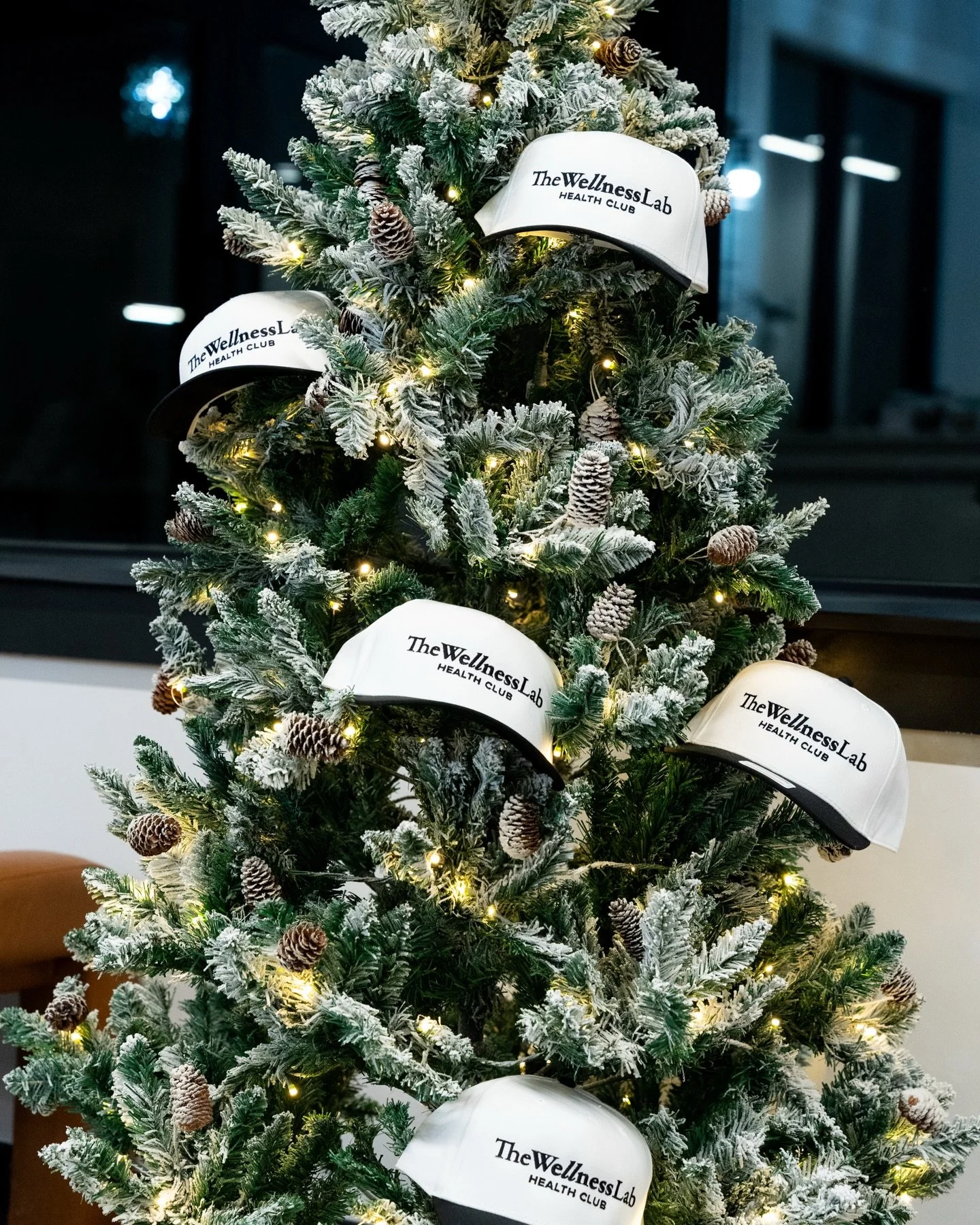 Rep The Wellness Lab all winter long ❄️

Our new merch makes for the perfect holiday gift &mdash; swing by or message us to grab yours before they&rsquo;re gone!