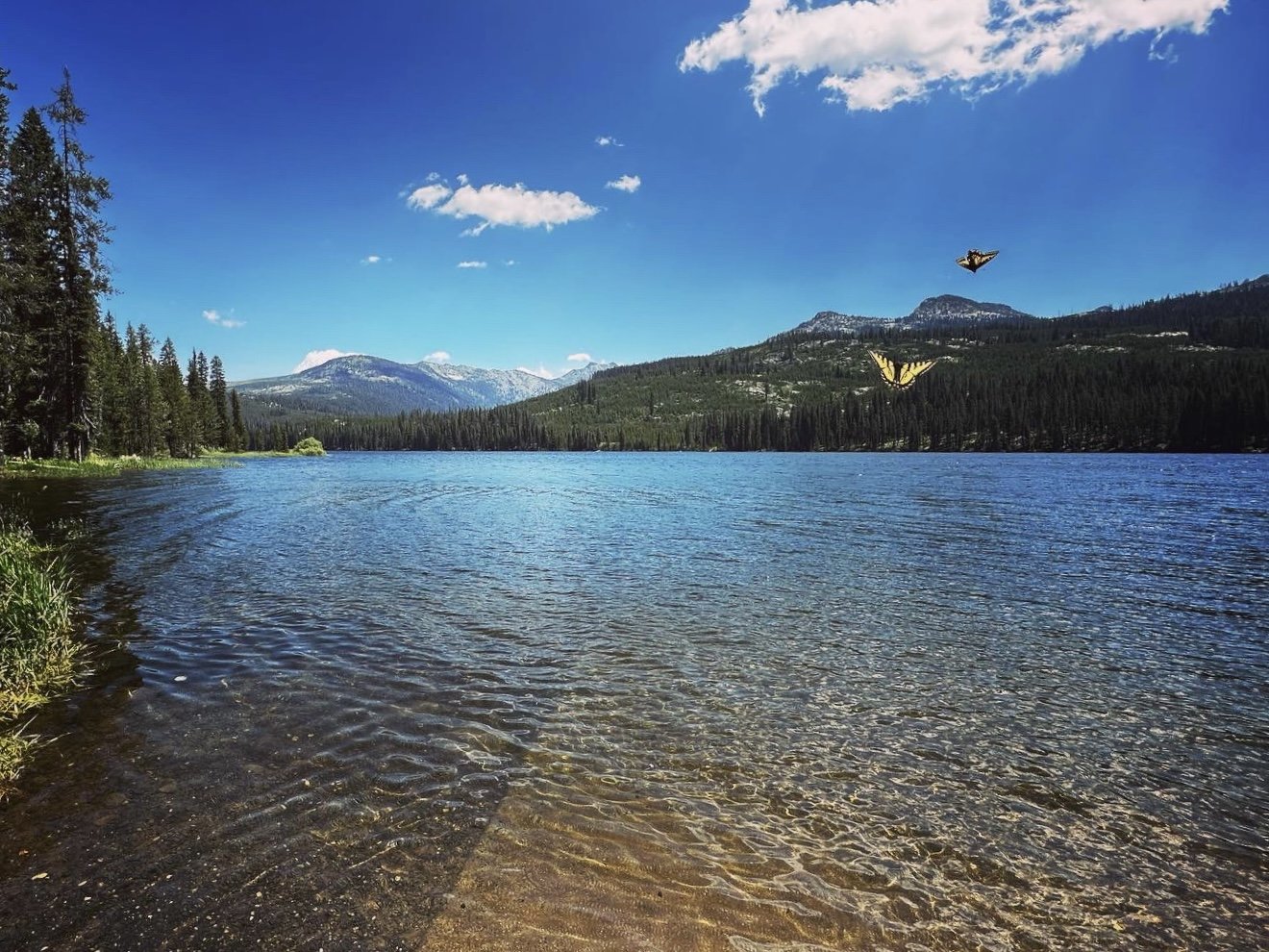 Mountain lake landscape with clear water, trees, and butterflies under a blue sky.