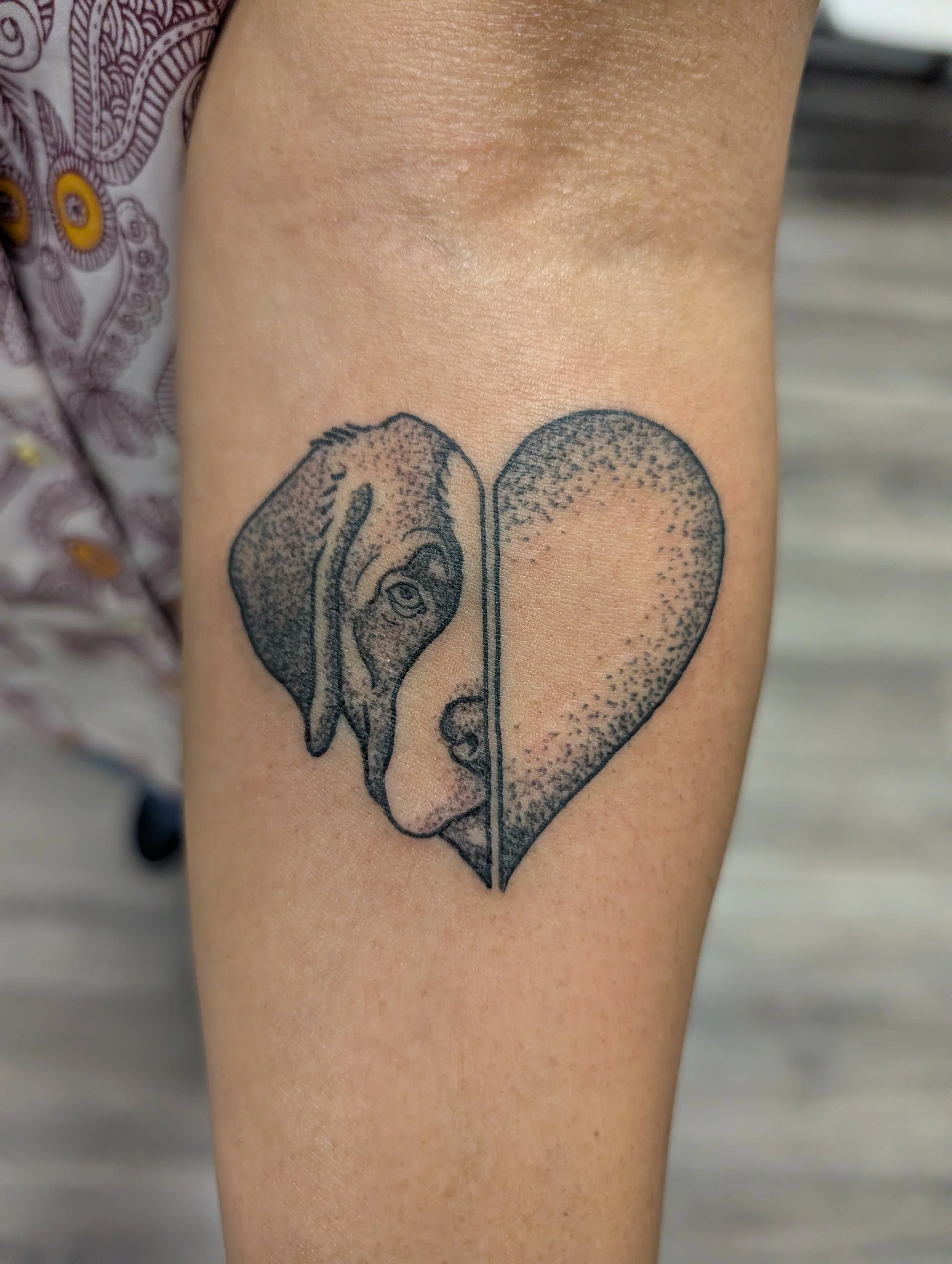 PXL_20260226_035735202.jpg