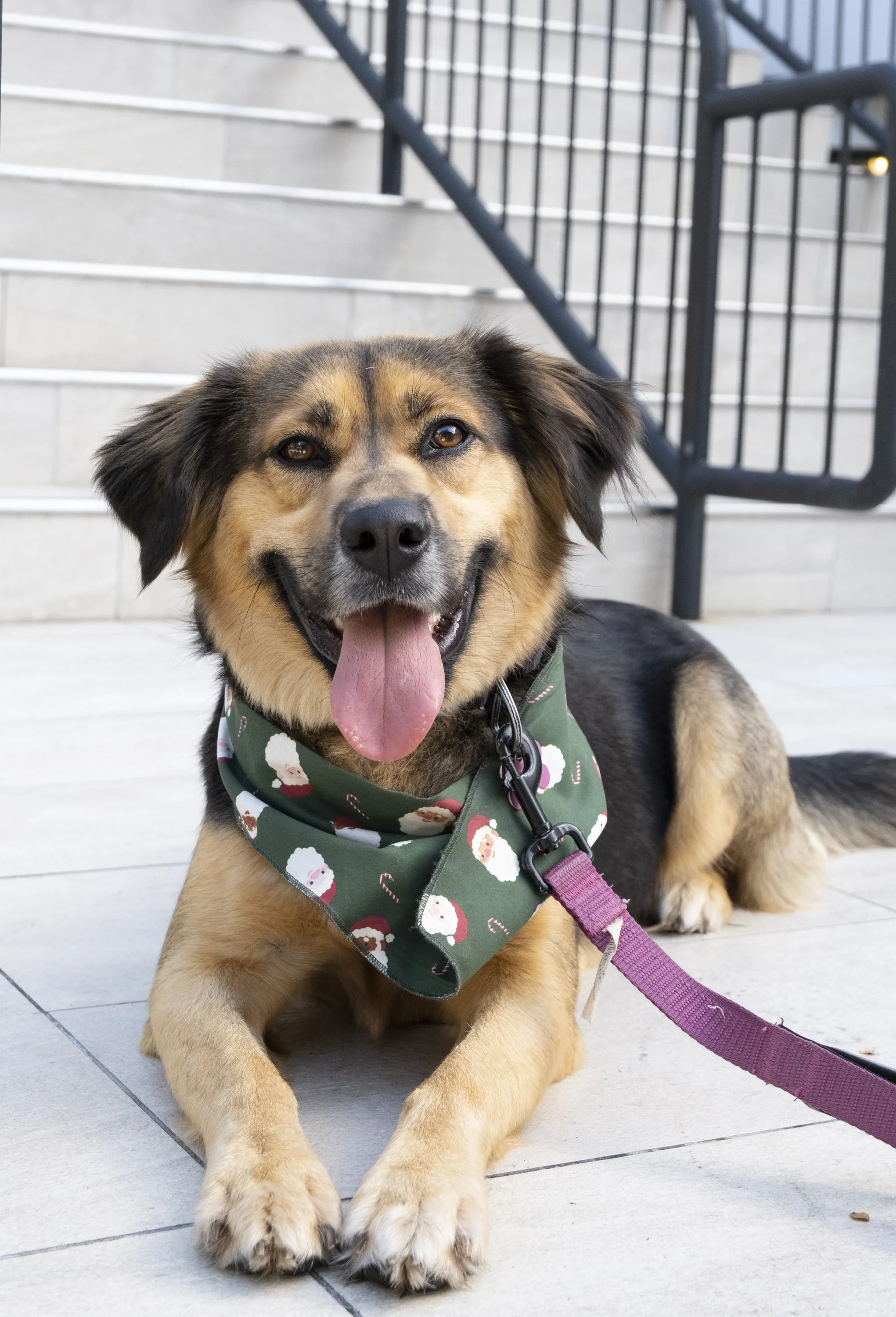 Amanda Xmas Shoot-7.jpg