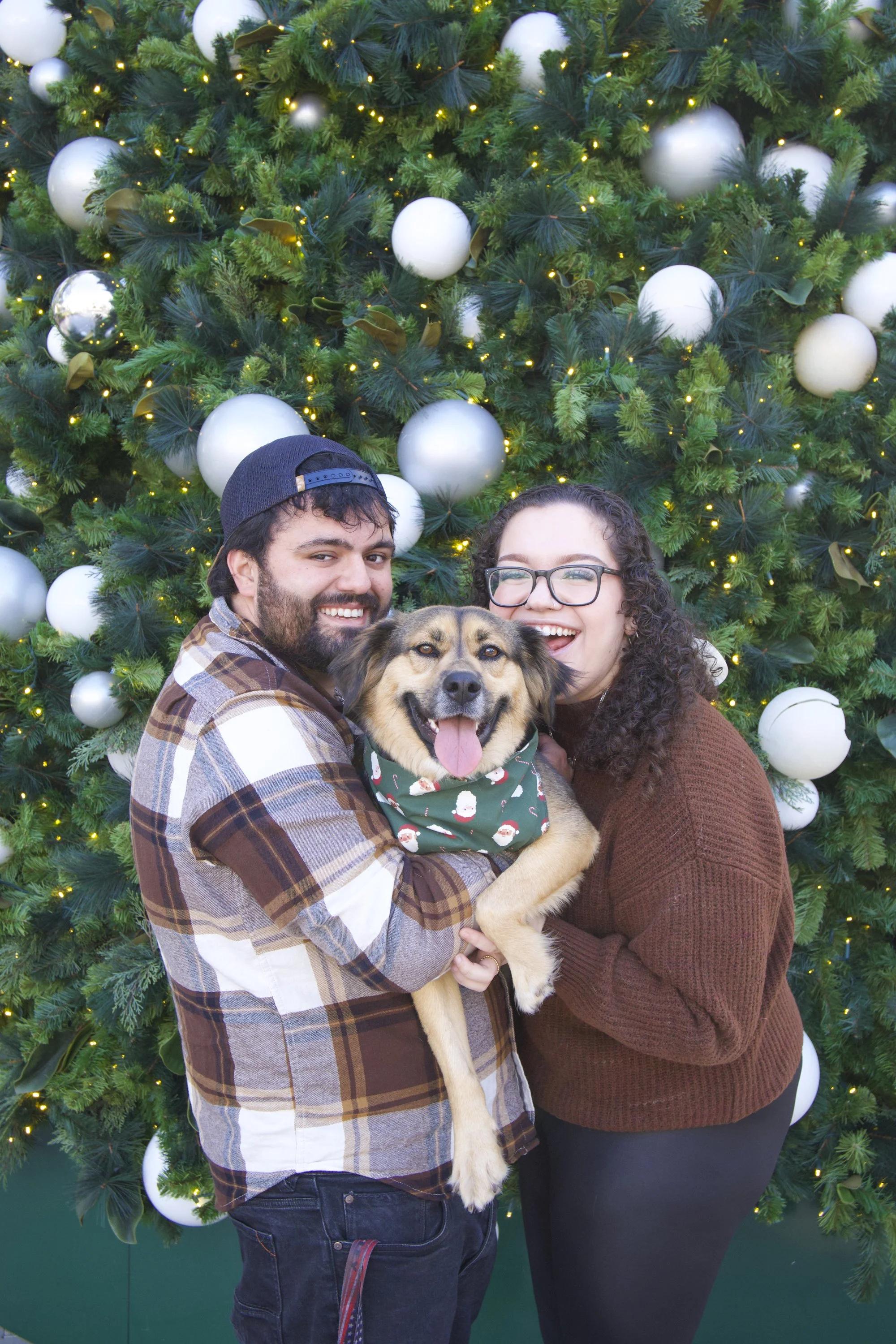 Amanda Xmas Shoot.jpg