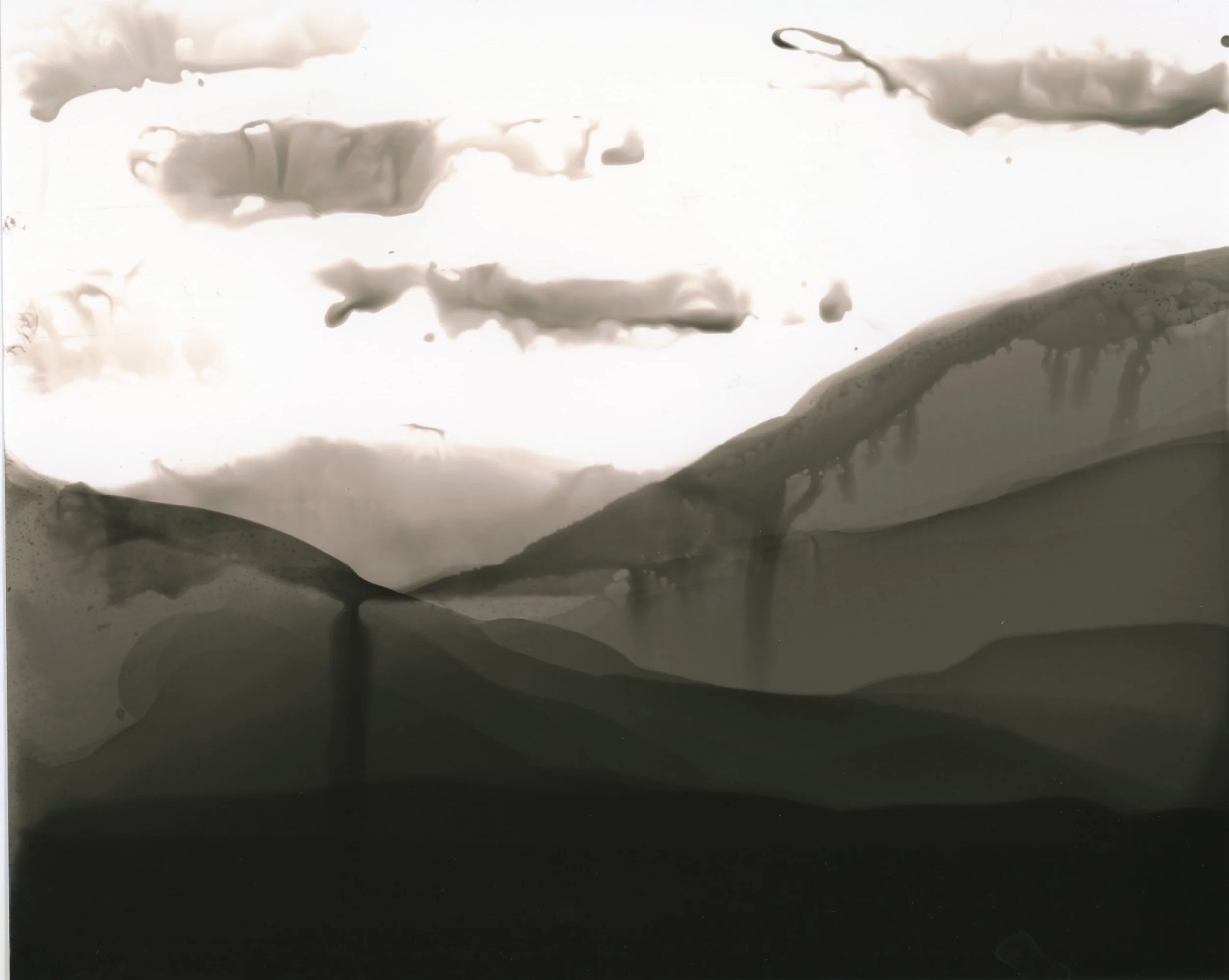 photogram landscape.jpg