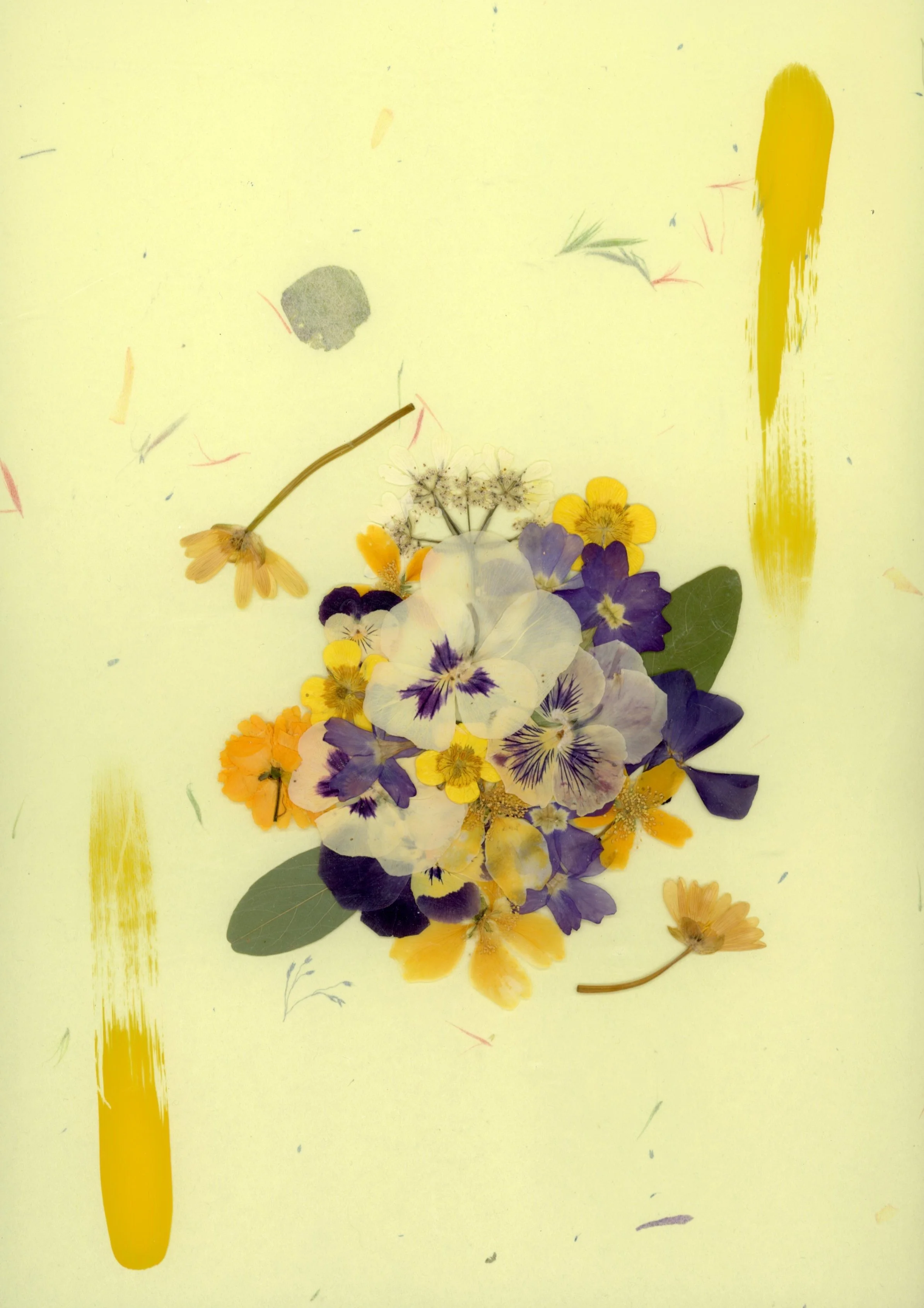 photography as painting 2.jpg