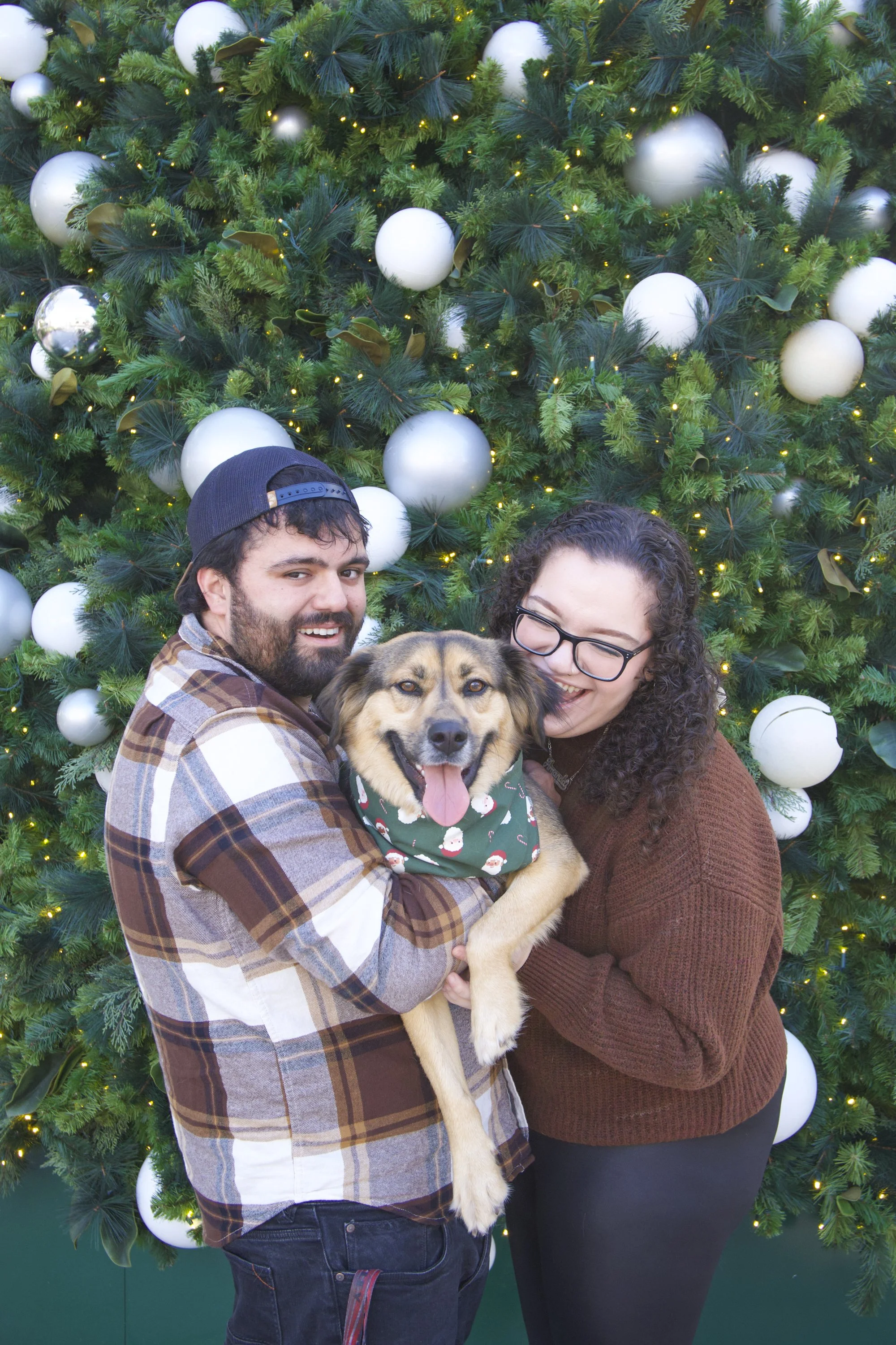 Amanda Xmas Shoot-2.jpg