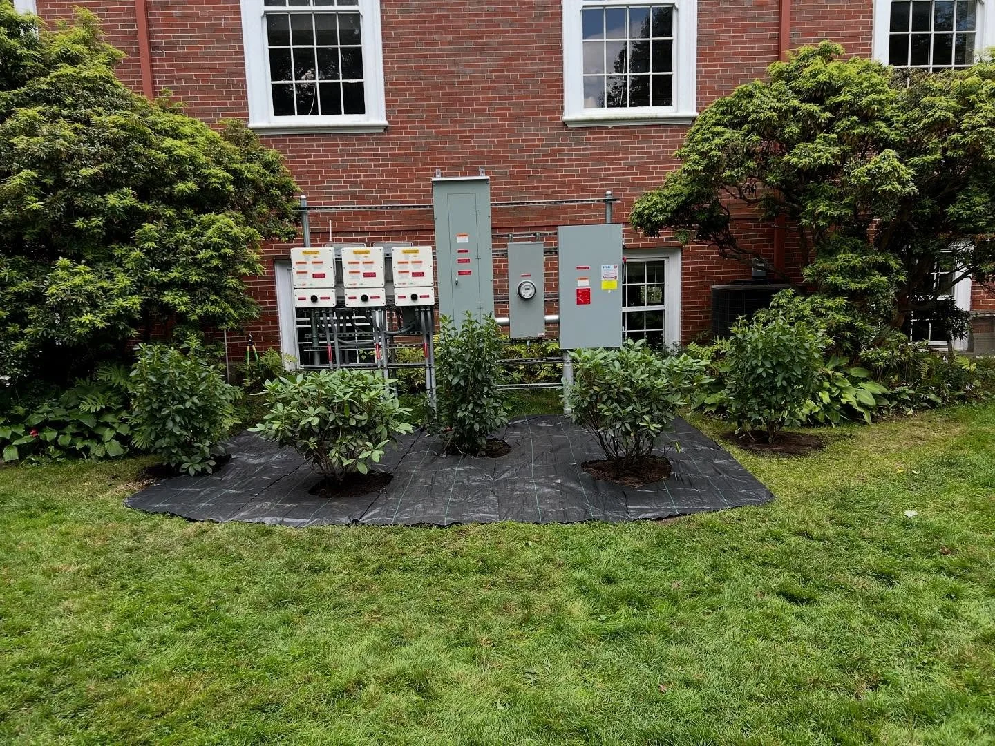 Check out the rhododendron Rev. Megan mentioned in this morning&rsquo;s sermon! And swipe to see more photos of the group that planted it at our Creation Care Cleanup day 🌱 🪏 💦#CreationCare #OnePlantAtATime