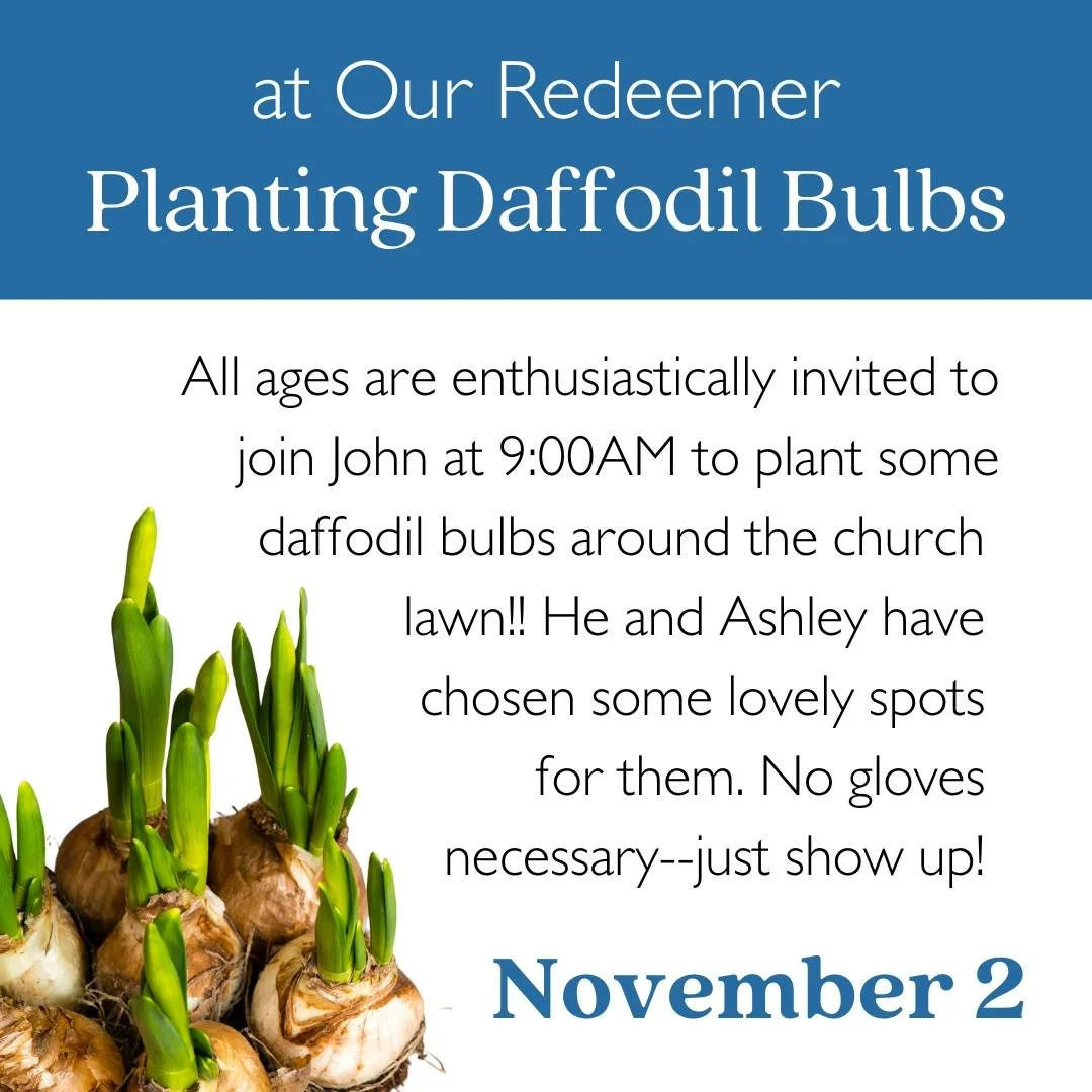 Before we celebrate All Saints' Day, come plant some daffodil bulbs! Join John W. at 9:00AM before the service. This is an all-ages activity, and no gloves or special outfit is necessary--just pop outside and John will show you what to do. And you wi