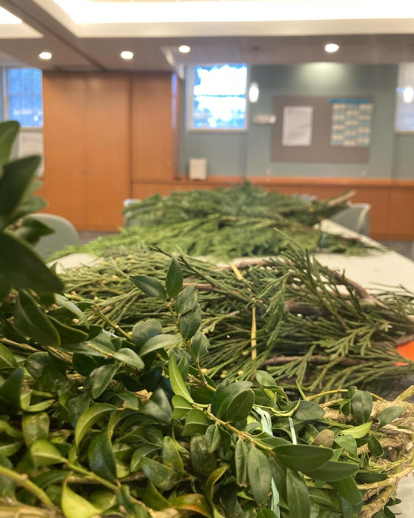 The boxwood and evergreen awaits you! And thanks to Debbie L. we have an additional handwork activity for our children. And don&rsquo;t forget, the Atrium Singers rehearse one last time at 11:30 for next week&rsquo;s Lessons &amp; Carols!