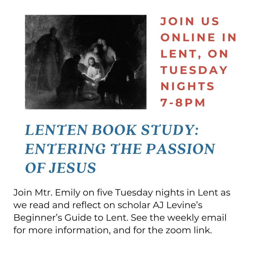 Join us online for a Lenten Book Study! Starting February 24th, we will be reading scholar AJ Levine's book, Entering the Passion of Jesus: A Beginner's Guide to Holy Week. We'll meet on zoom from 7-8PM; everyone is welcome to join us, and no prior B