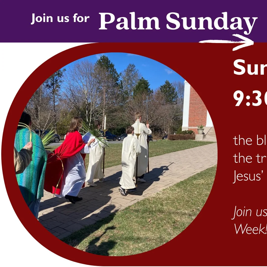 Join us for our Palm Sunday service, March 29 at 9:30AM as usual! We will wave palms and cry "Hosanna!" as Jesus enters Jerusalem in triumph. This is the first day of Holy Week. We hope you will join us as we walk the way with Jesus.
.
#Epi
