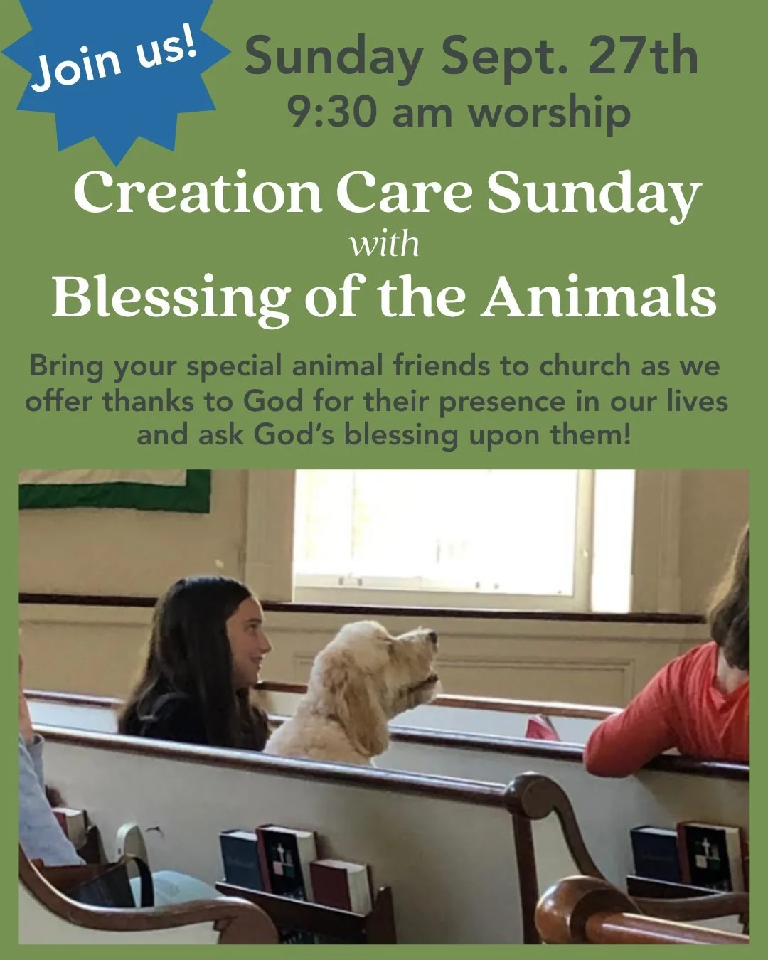 This Sunday we will bless animals dear to us! Please join us with your special animal friends for our Creation Care Sunday service at 9:30 am as we offer thanks for the presence of God's creatures in our lives and ask God's blessing upon them! #Creat