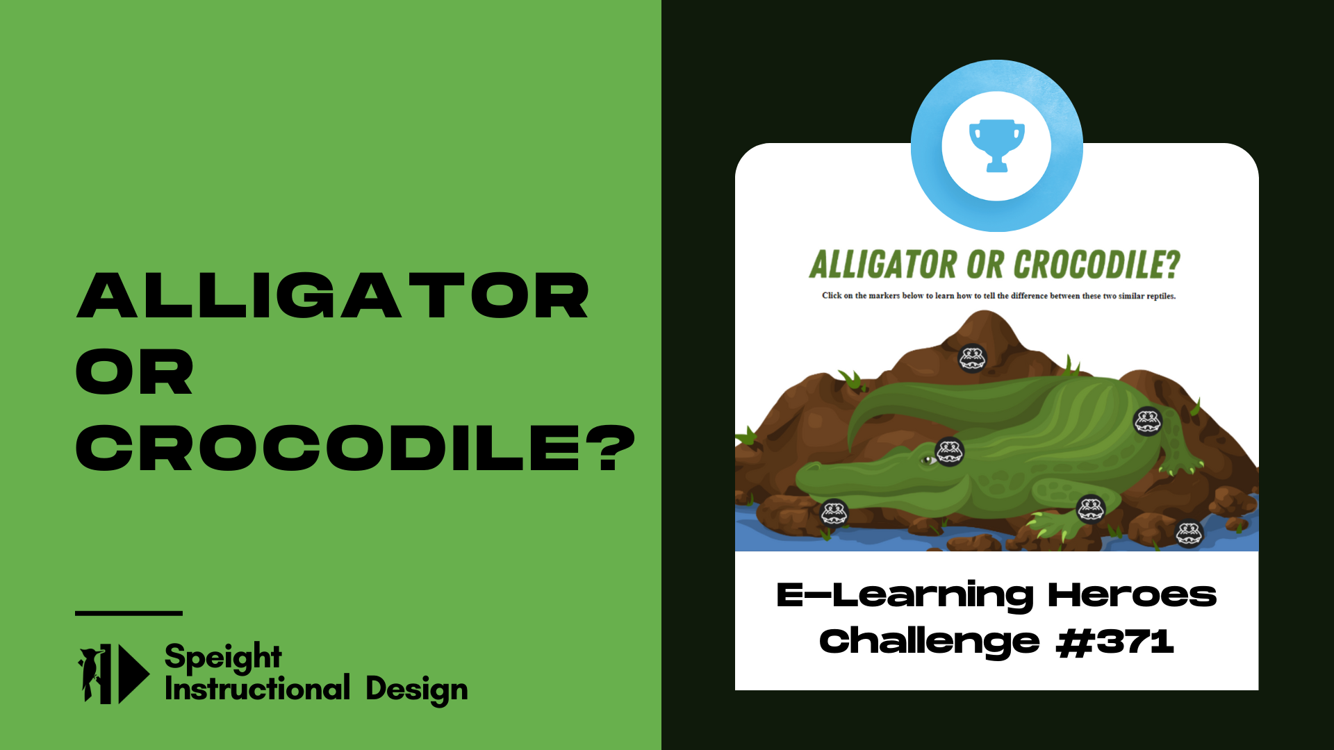 E-Learning Heroes Challenge 371: Alligators and Crocodiles