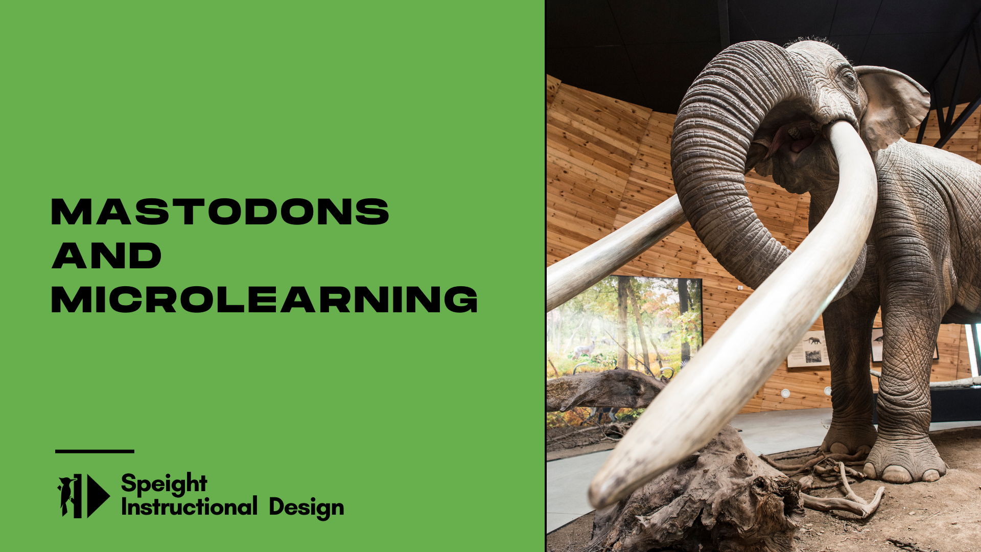 Mastodons and Microlearning