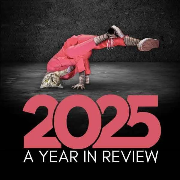 2025, A Year In My Life As An Artist