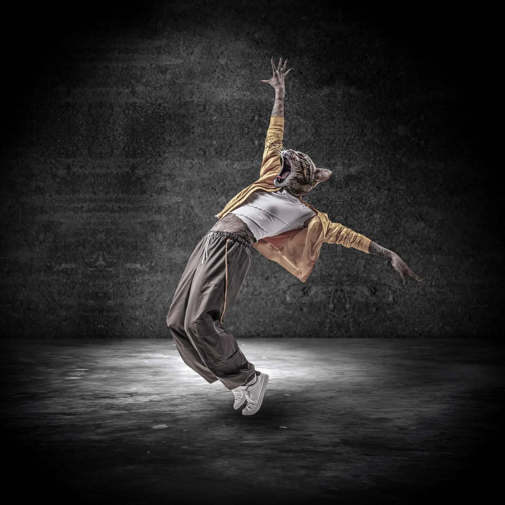 MC Pouncé is a dynamic, tongue-in-cheek cat art print by Tracy Updike of Maker Street Studio, capturing a dramatic, airborne dance move mid-pounce. With exaggerated motion and expressive feline flair, this hip-hop dancing cat embodies confidence, hum