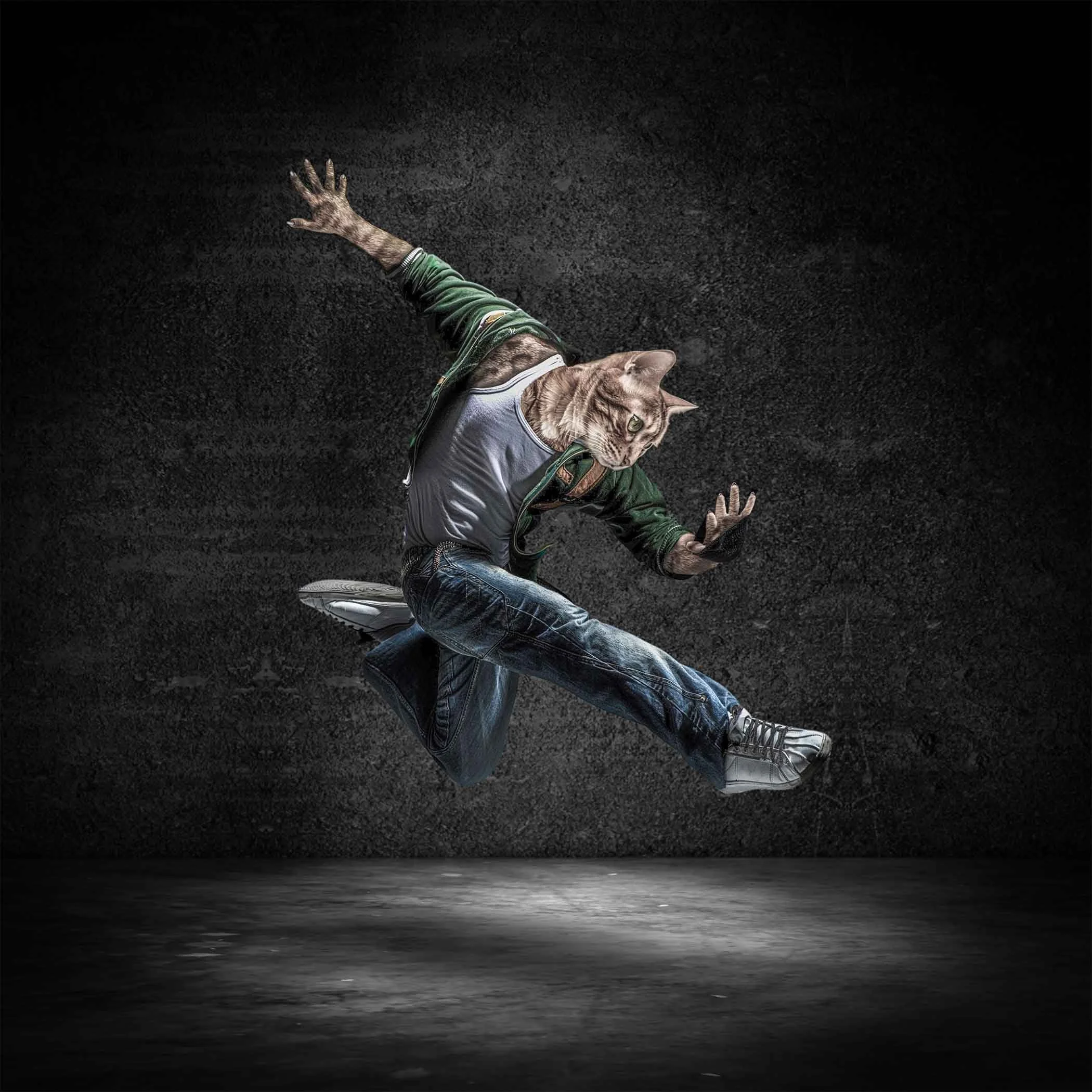 DJ Clawz is a high-energy hip-hop cat illustration by artist Tracy Updike of Maker Street Studio, featuring a hoodie-clad feline throwing powerful breakdance moves with undeniable attitude. This edgy yet humorous artwork highlights Updike’s signature