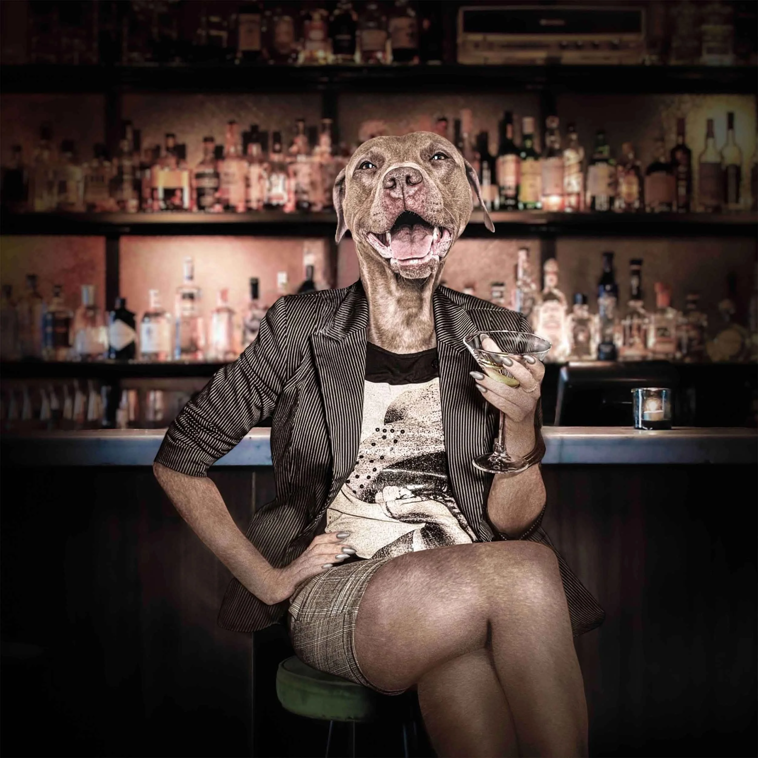 Shaken Not Stirred is a bold, humorous art print by Tracy Updike of Maker Street Studio, showcasing a confident Pit Bull Terrier savoring a dirty martini at the bar. Part of the popular Hair on the Dog Tavern series, this anthropomorphic dog portrait