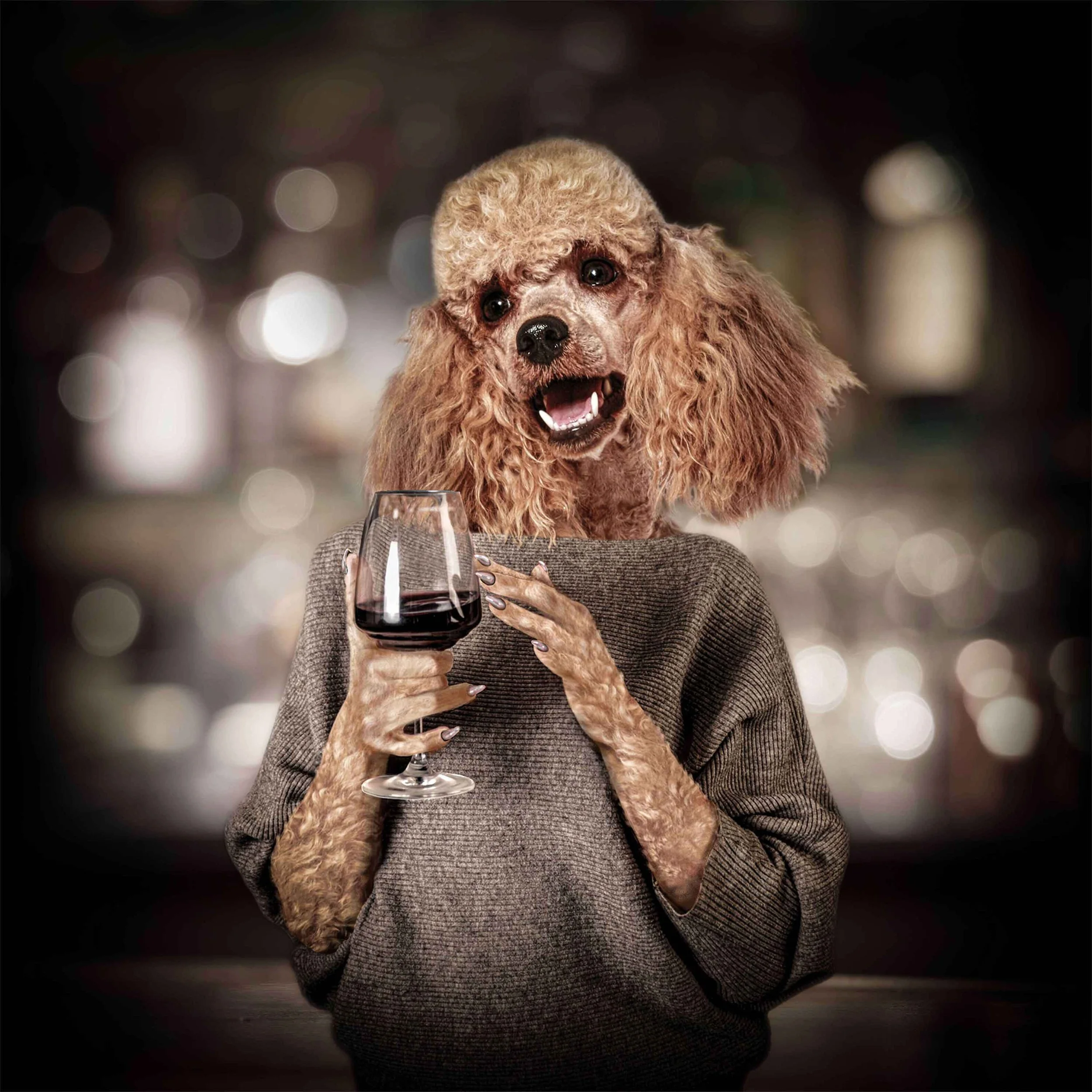 French Wine is a playful, sophisticated art print by artist Tracy Updike of Maker Street Studio, featuring an elegant French Poodle enjoying a glass of red wine in a cozy bar setting. Part of the Hair on the Dog Tavern series, this anthropomorphic do