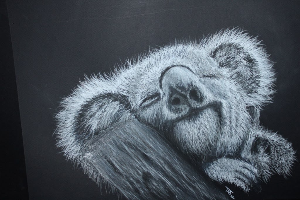Koala