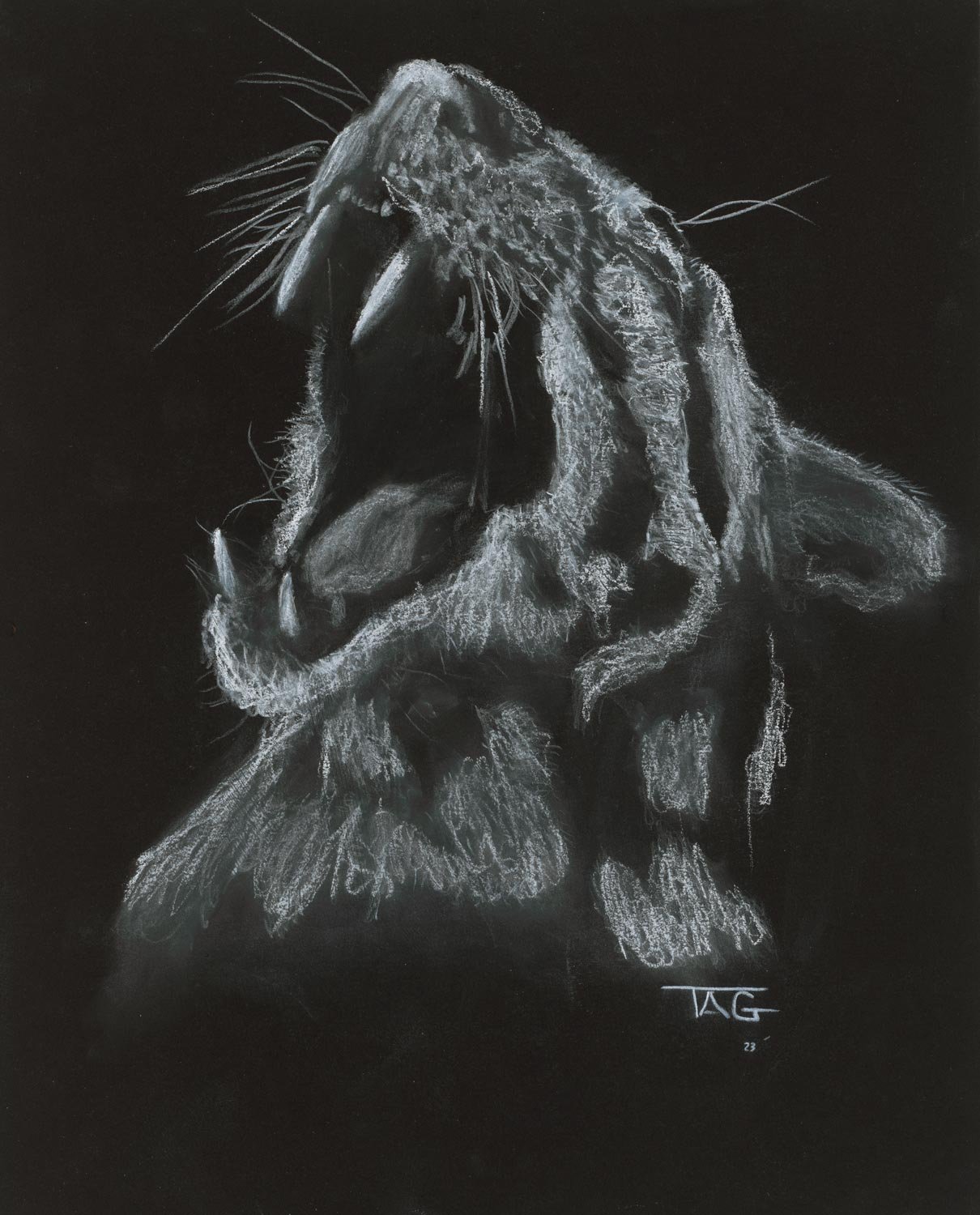 Hand Drawn Leopard