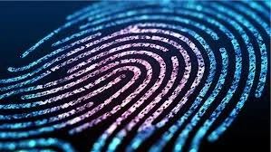 How to Get Fingerprinted in Casa Grande: Fast, Friendly, and Local