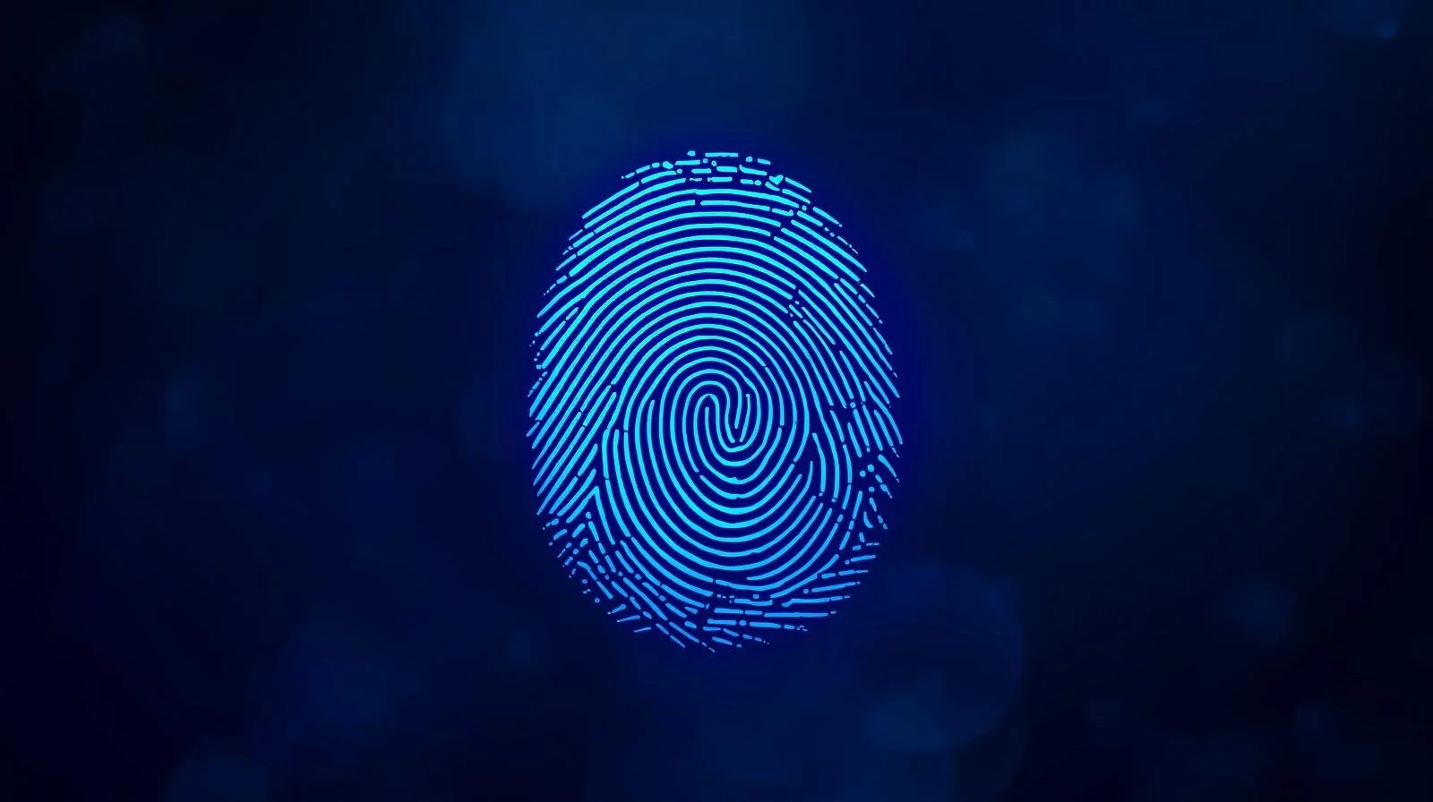 TIP’s Tip of the month - January 2026