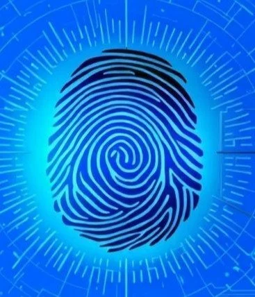 The Complete Guide to Fingerprinting Services