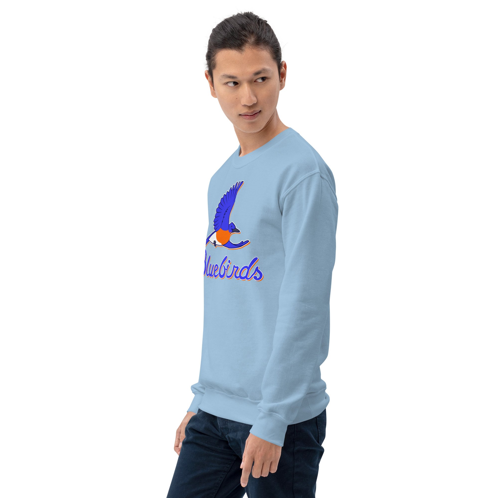 unisex-crew-neck-sweatshirt-light-blue-left-front-693c28ad49b00.jpg