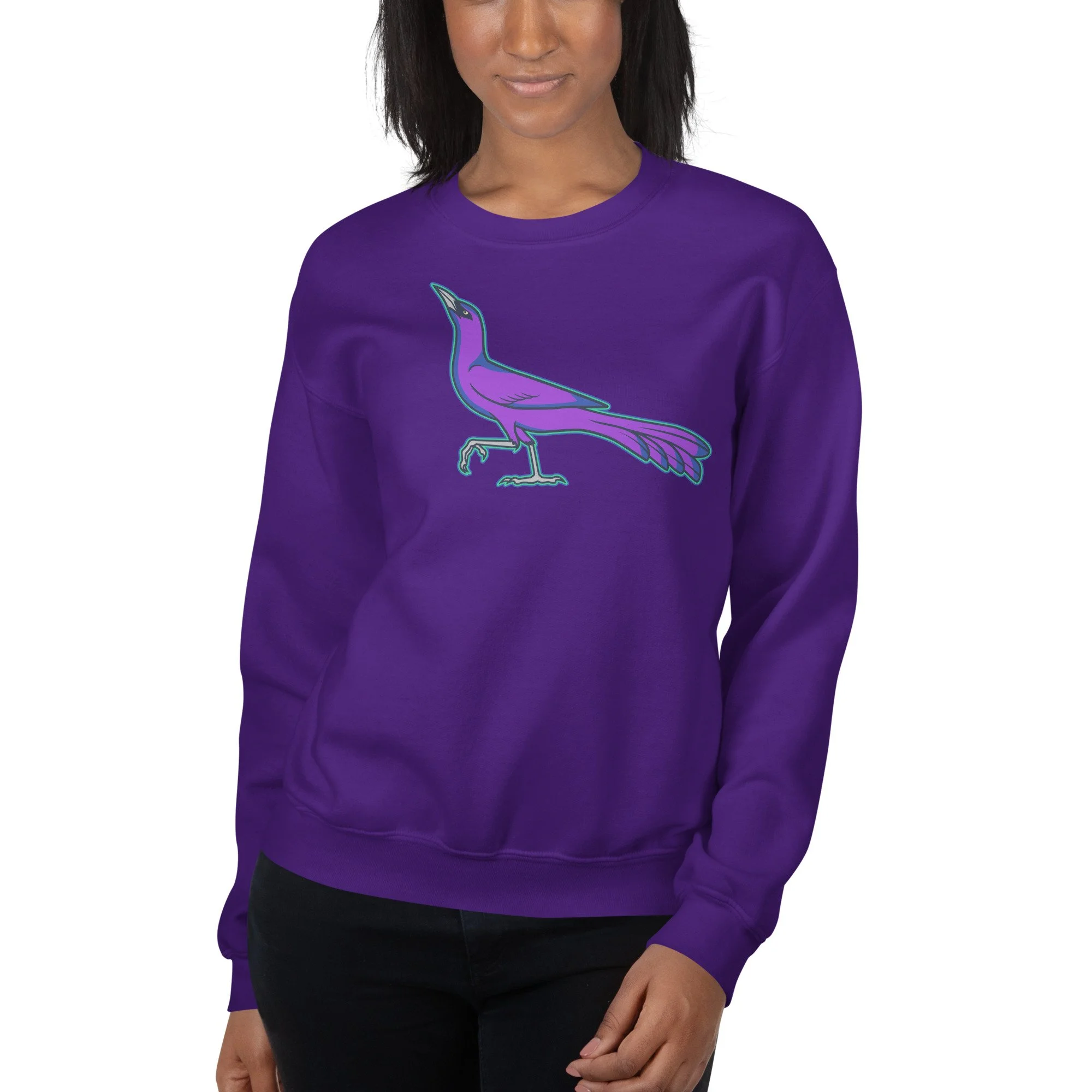 unisex-crew-neck-sweatshirt-purple-front-693c4d2a1736e.jpg