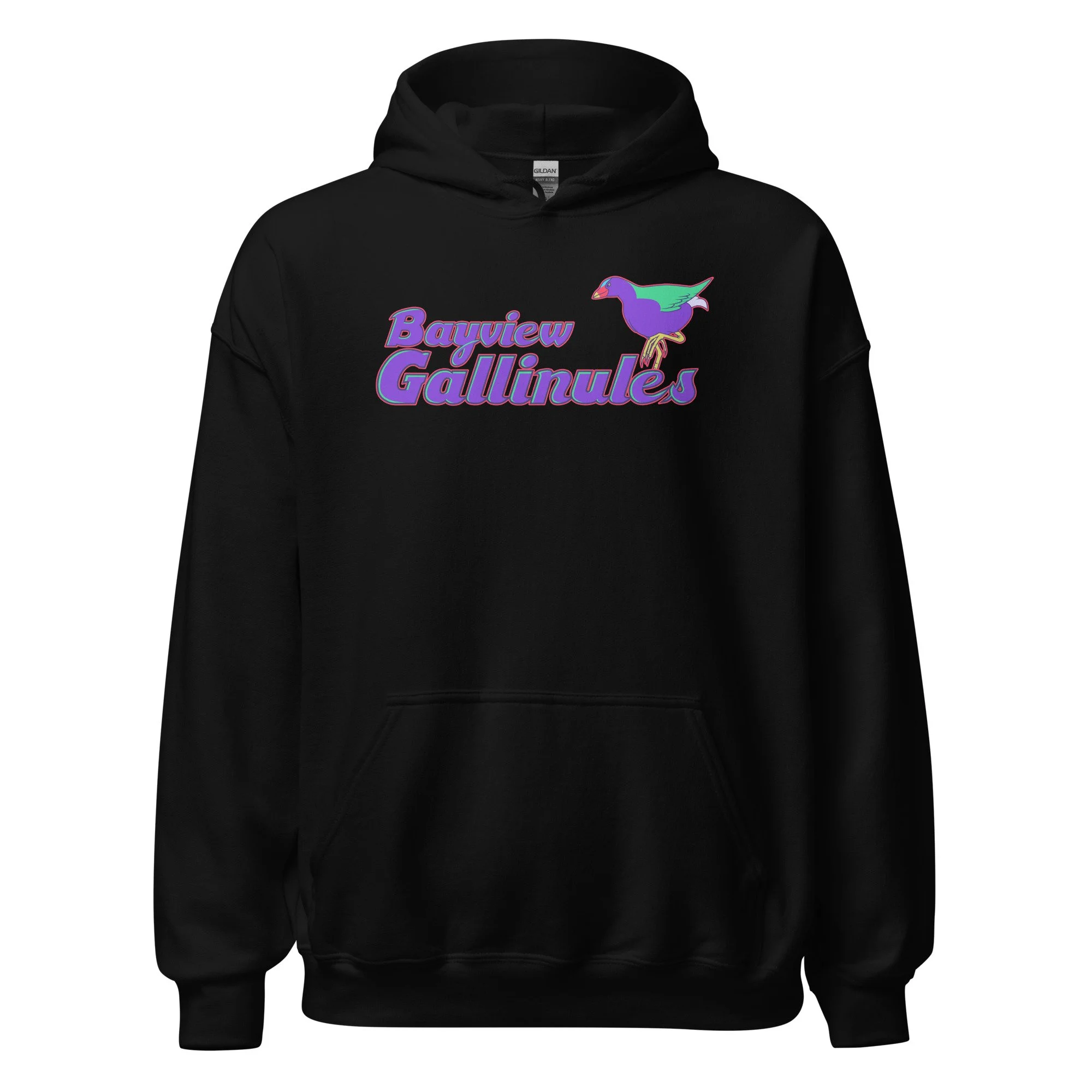 unisex-heavy-blend-hoodie-black-front-68b65187b62db.jpg
