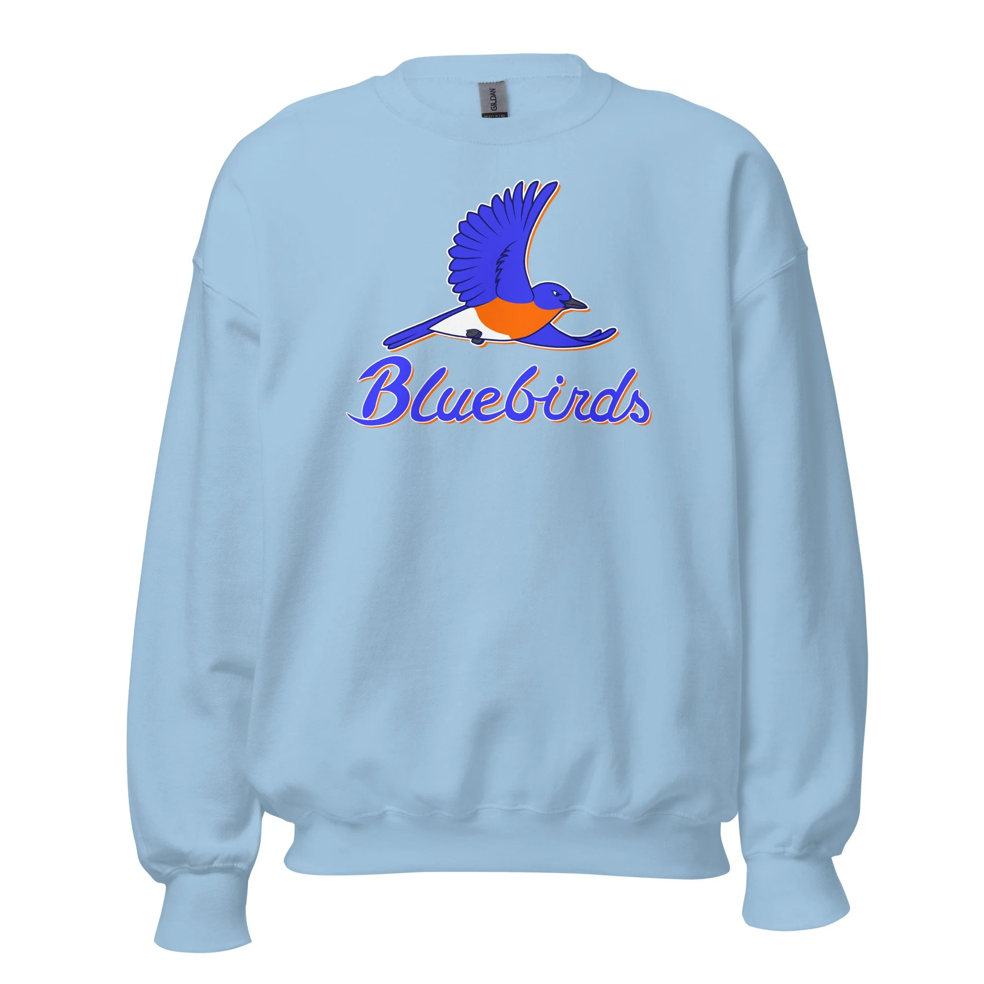 unisex-crew-neck-sweatshirt-light-blue-front-693c28ad4a144.jpg