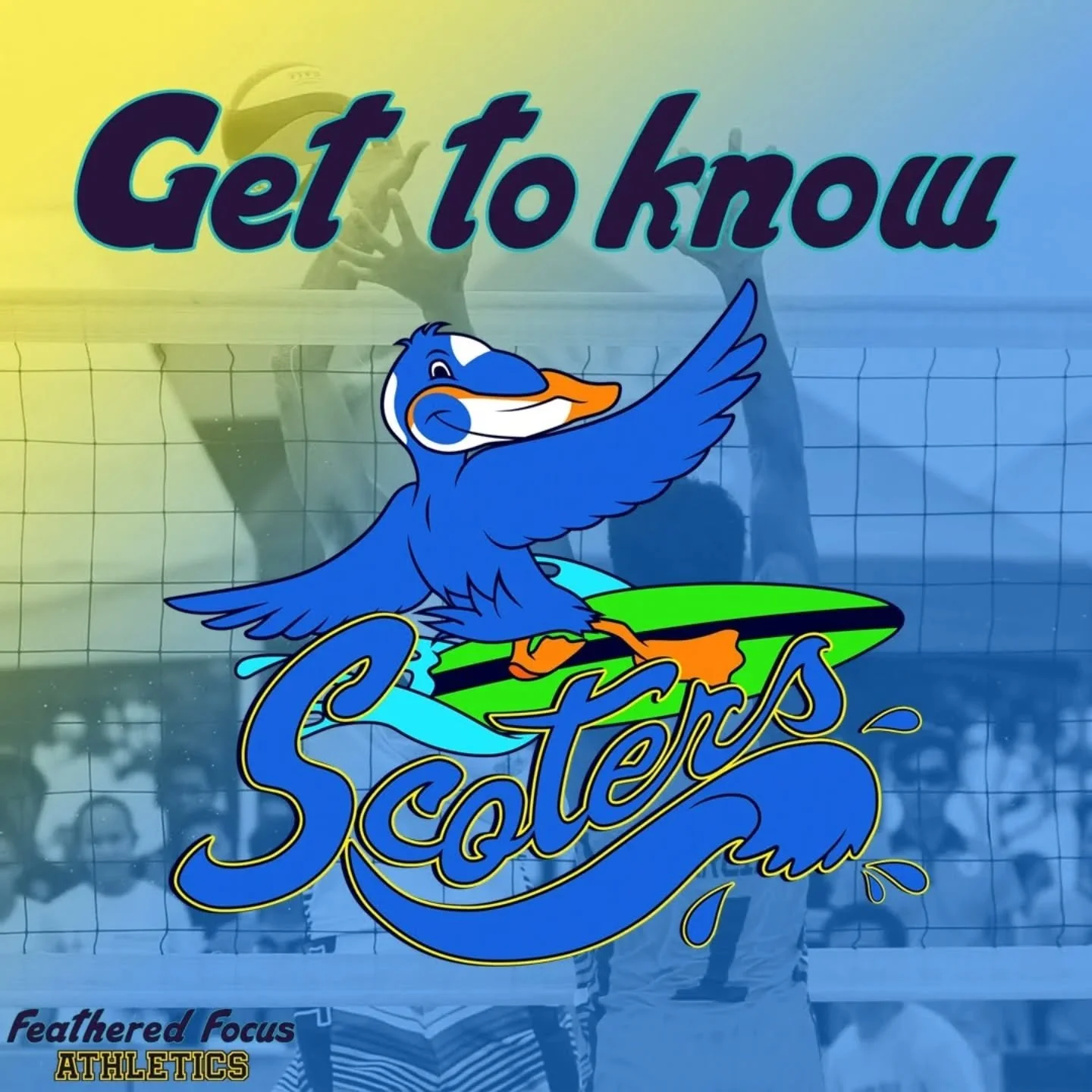 Let's get to know the Scoters! Seaboard City is known for surf culture and their surfin' scoter mascot! https://www.featheredfocusathletics.com/scoters
.
.
.
.
.
.
#birdillustration #birding #birdart #sport #scoter #independentartist
