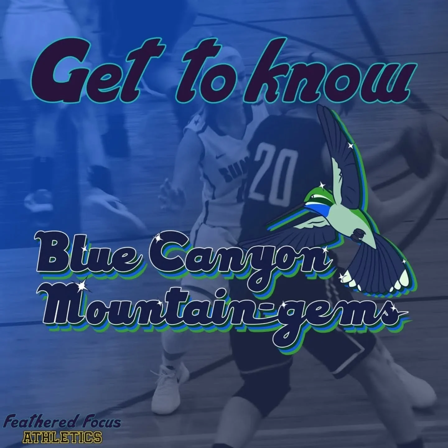 Get to know the Mountain-gems! The only team in the league with a hummingbird as a mascot! 
.
.
.
.
#birdillustration #birding #birdart #sport #independentartist #mountaingem #hummingbird