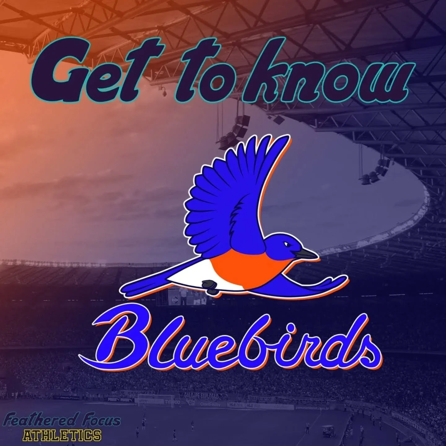 The Belleville Bluebirds aren't exactly the best team in the league, but at least their fans still come out to support them! 
.
.
.
.
.
#birdillustration #birding #birdart #independentartist #illustration #bluebird #easternbluebird #sport
