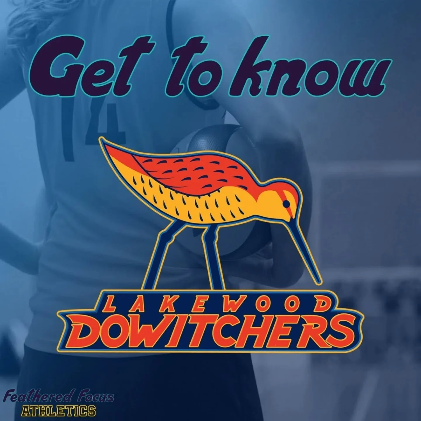 The Dowitchers are the most successful expansion team in the league. It's just a matter of time before they win it all! 
.
.
.
.
.
.
#birdillustration #birding #birdart #illustration #independentartist #sport #dowitcher #shorb #shorebirds